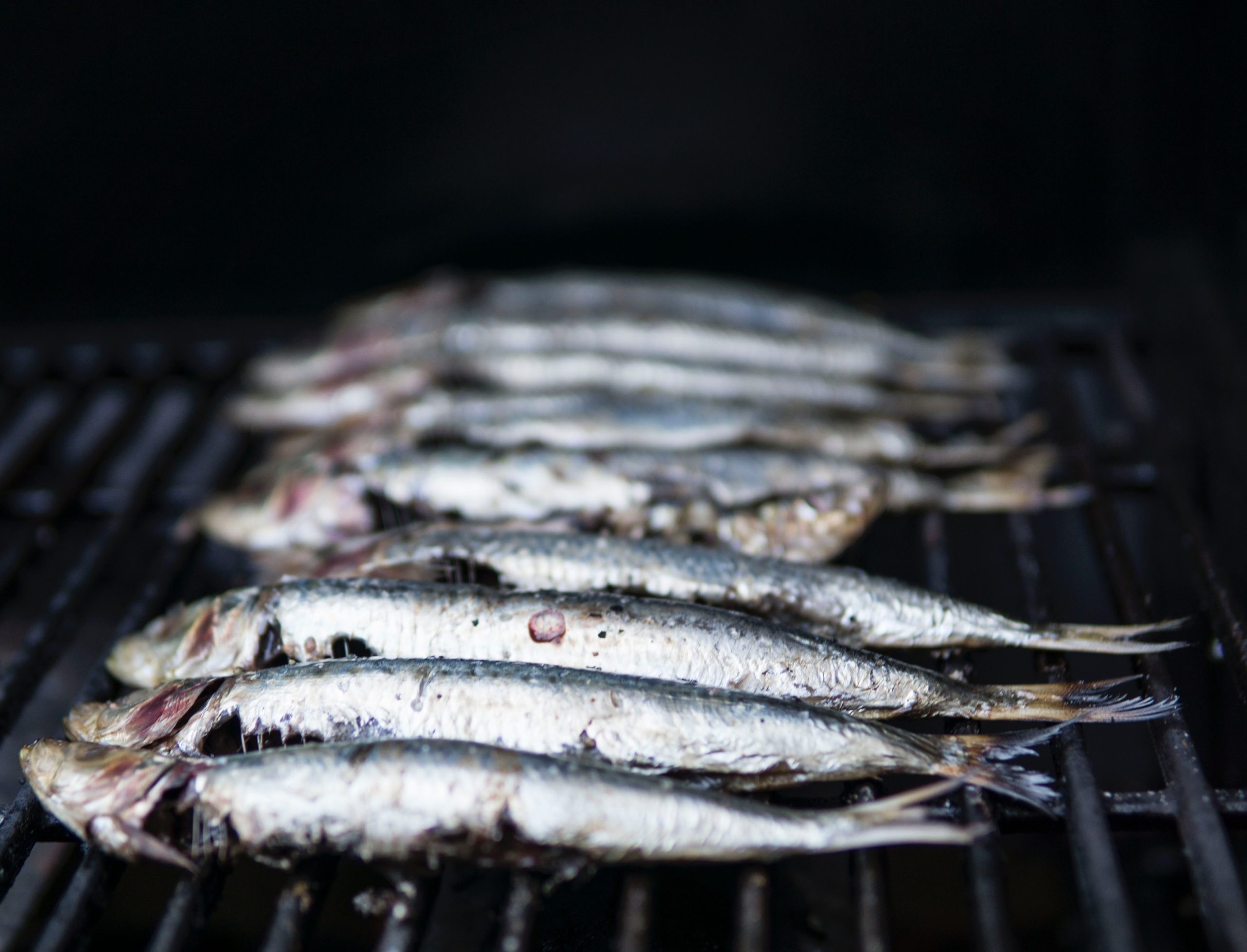 Nutritional benefits of eating sardines